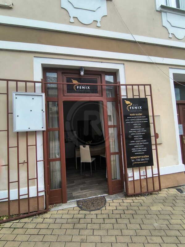 PRONÁJEM NEBYTOVÉHO PROSTORU, NOVÉ MĚSTO, TRHOVÉ SVINY