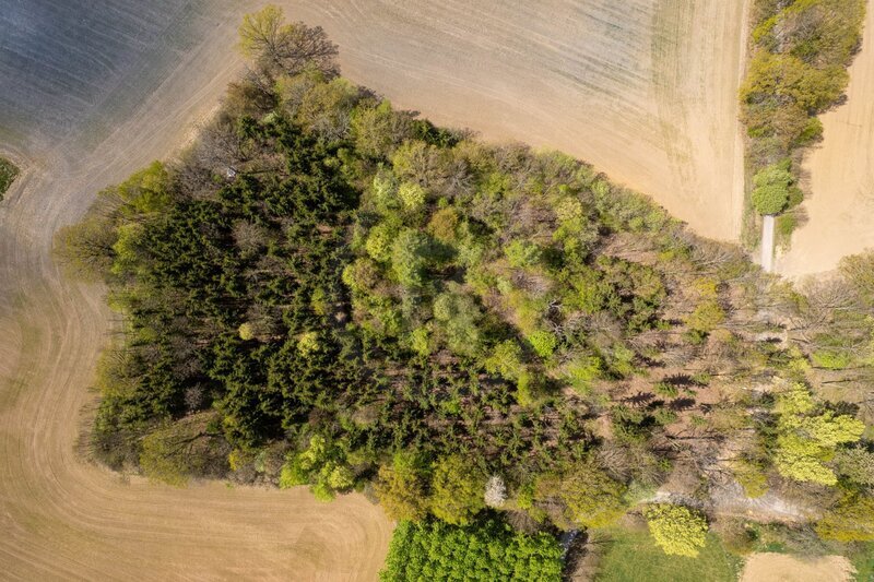 PRODEJ STAVEBNÍ PARCELY 1.980 m2 V LESOPARKU, LIBNÍČ