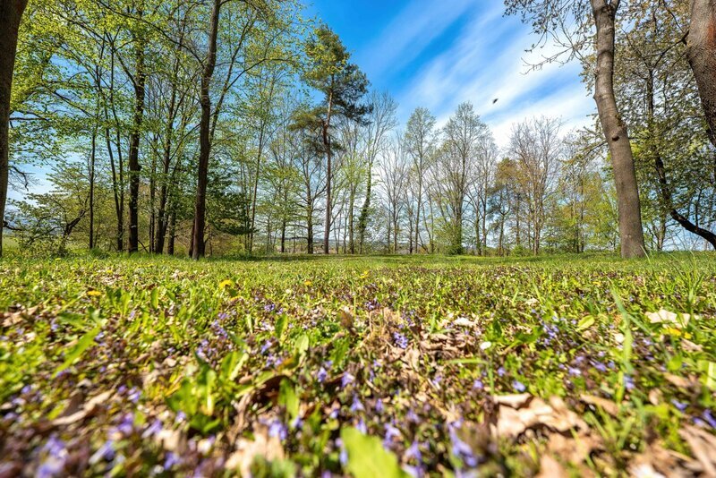 PRODEJ STAVEBNÍ PARCELY 1.980 m2 V LESOPARKU, LIBNÍČ