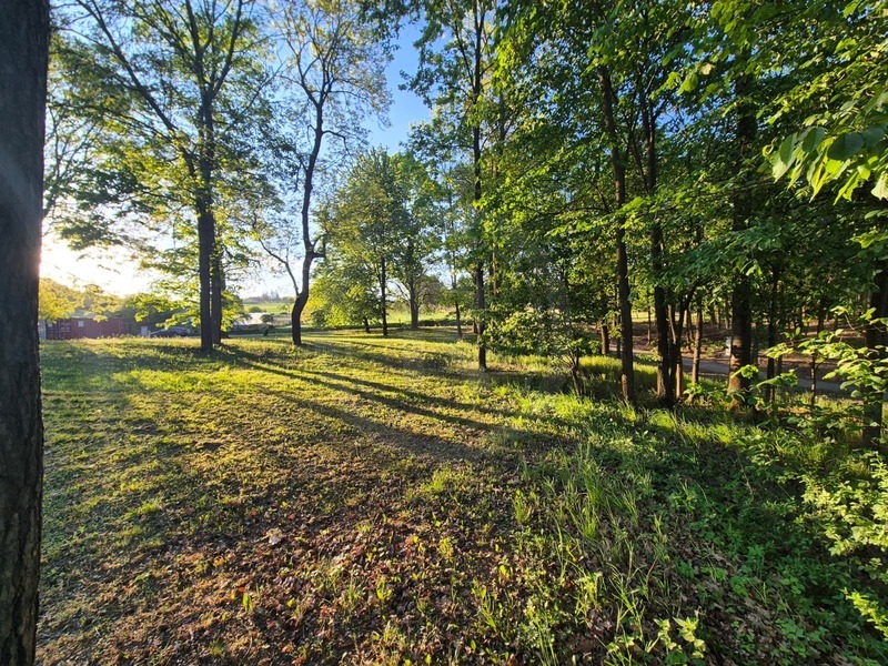 PRODEJ STAVEBNÍ PARCELY 1.980 m2 V LESOPARKU, LIBNÍČ