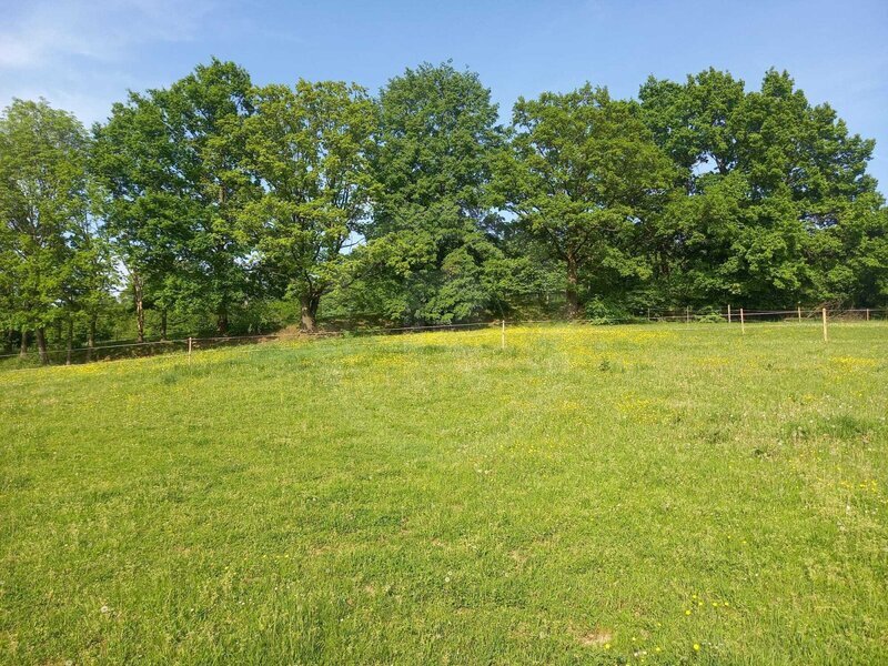 PRODEJ STAVEBNÍ PARCELY 1.251 M2, RUDOLFOV U ČESKÝCH BUDĚJOVIC