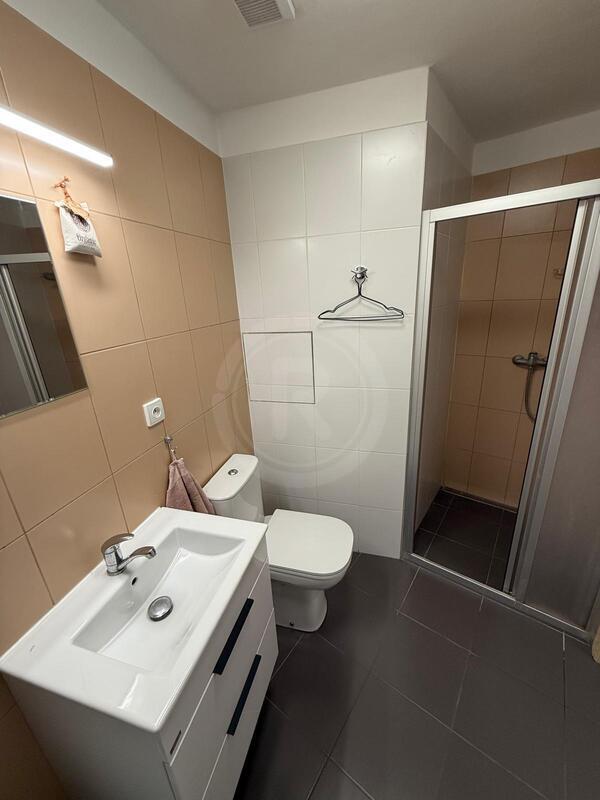 PRONÁJEM BYTU 1+KK, NÁMĚSTÍ ŠIMONA LOMNICKÉHO, ŠEVĚTÍN