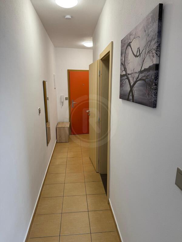 PRONÁJEM BYTU 1+KK, NÁMĚSTÍ ŠIMONA LOMNICKÉHO, ŠEVĚTÍN