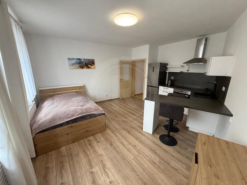 PRONÁJEM BYTU 1+KK, NÁMĚSTÍ ŠIMONA LOMNICKÉHO, ŠEVĚTÍN