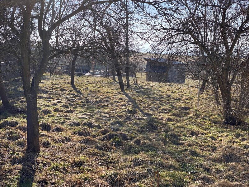 PRODEJ STAVEBNÍHO POZEMKU, HŮRY U ČESKÝCH BUDĚJOVIC