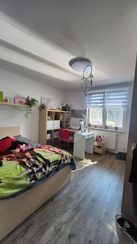 PRODEJ RODINNÉHO DOMU 4+KK, U SILA, BORŠOV NAD VLTAVOU