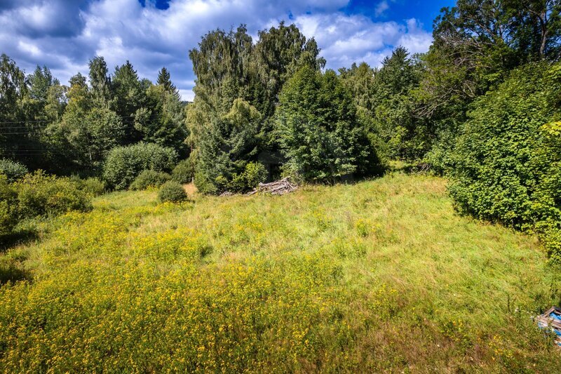 PRODEJ STAVEBNÍ PARCELY NA BYDLENÍ, PŘEDNÍ VÝTOŇ