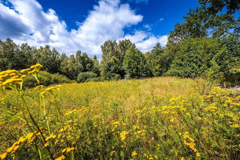PRODEJ STAVEBNÍ PARCELY NA BYDLENÍ, PŘEDNÍ VÝTOŇ