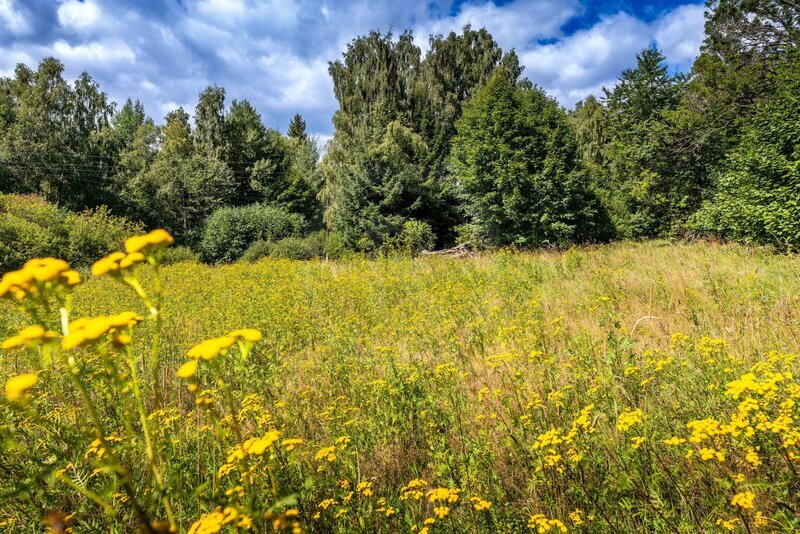 PRODEJ STAVEBNÍ PARCELY NA BYDLENÍ, PŘEDNÍ VÝTOŇ