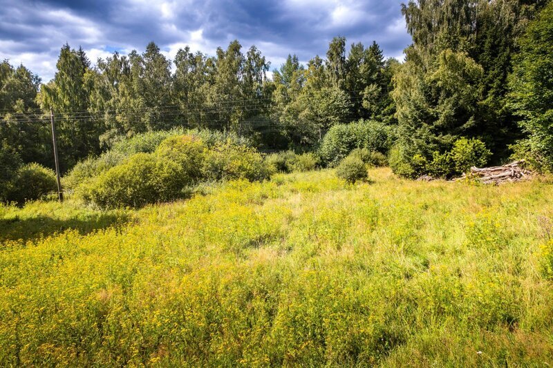PRODEJ STAVEBNÍ PARCELY NA BYDLENÍ, PŘEDNÍ VÝTOŇ