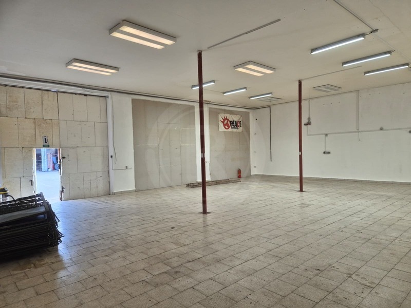 PRONÁJEM HALY/SERVISU, BORŠOV NAD VLTAVOU