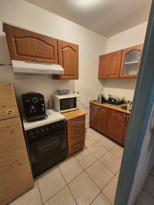 PRONÁJEM HALY/SERVISU, BORŠOV NAD VLTAVOU