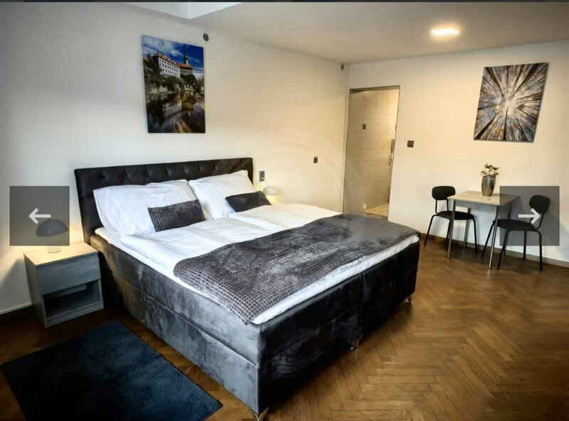 PRODEJ RD, 3 APARTMÁNY, PARKOVÁNÍ, ČESKÝ KRUMLOV