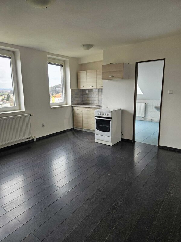 PRONÁJEM BYTU 1+KK, U RYBNÍKA, DOBRÁ VODA U Č. BUDĚJOVIC