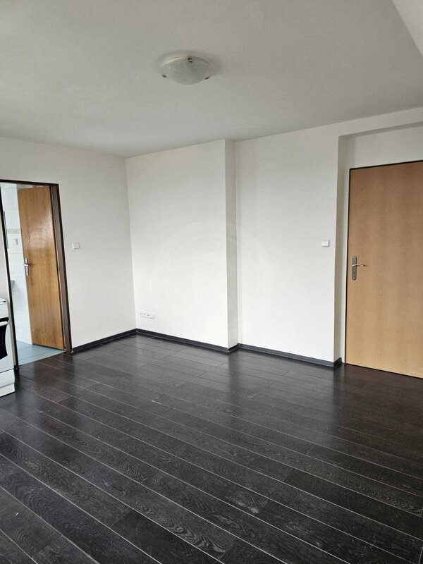 PRONÁJEM BYTU 1+KK, U RYBNÍKA, DOBRÁ VODA U Č. BUDĚJOVIC