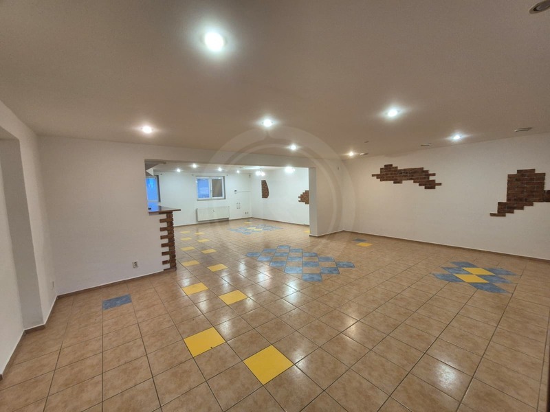 PRONÁJEM OBCHODNÍHO PROSTORU, BORŠOV NAD VLTAVOU