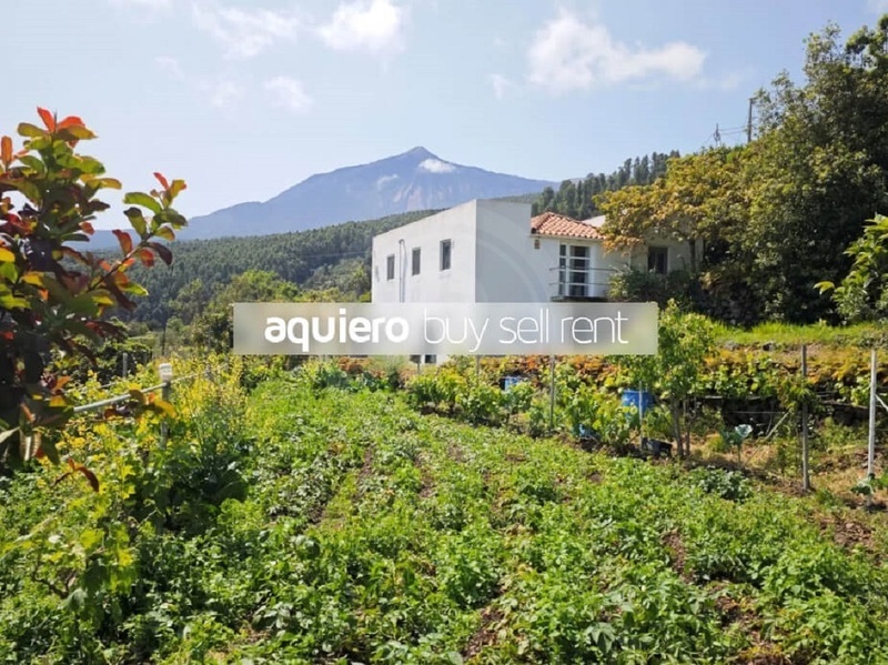 PRODEJ VENKOVSKÉHO SÍDLA, ICOD DE LOS VINOS, TENERIFE