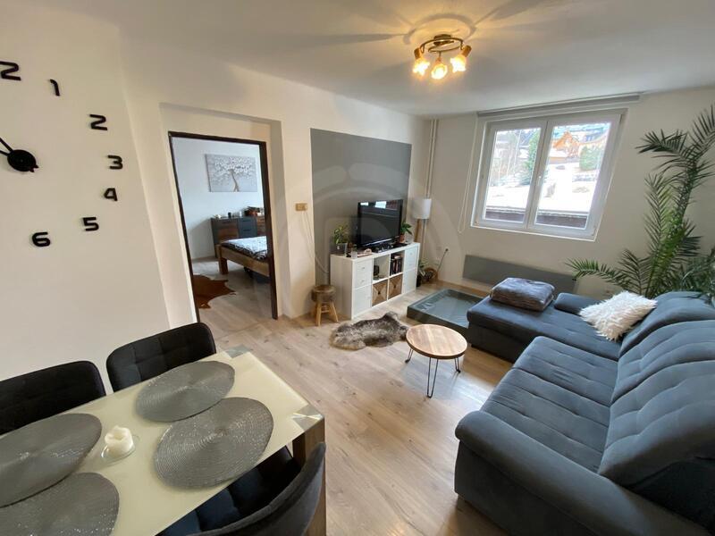 PRONÁJEM ZDĚNÉHO BYTU 2+1, CENTRUM OBCE KVILDA