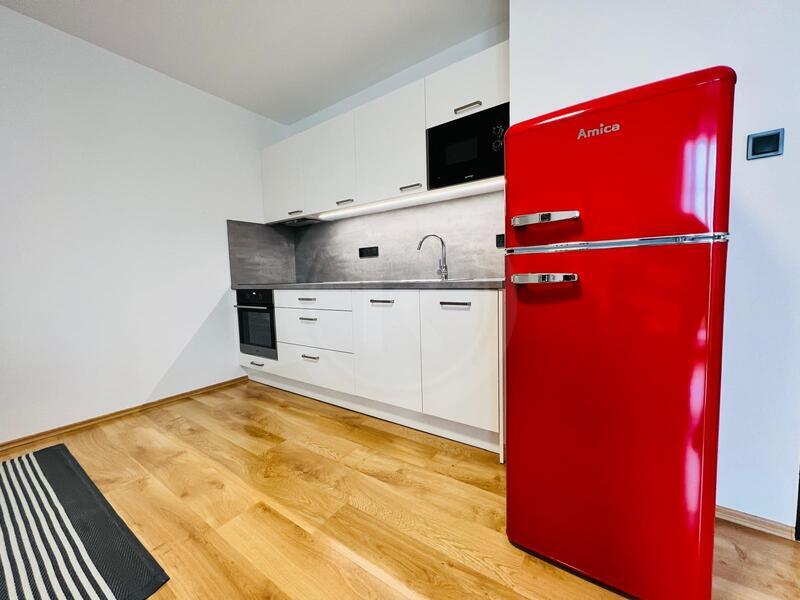 PRONÁJEM ZAŘÍZENÉHO BYTU 2+KK S BALKONEM, RIEGROVA, ČB