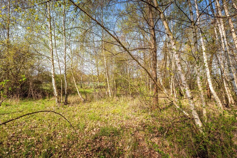 PRODEJ STAVEBNÍHO POZEMKU, KE STUDÁNCE, NOVÉ HODĚJOVICE, ČB