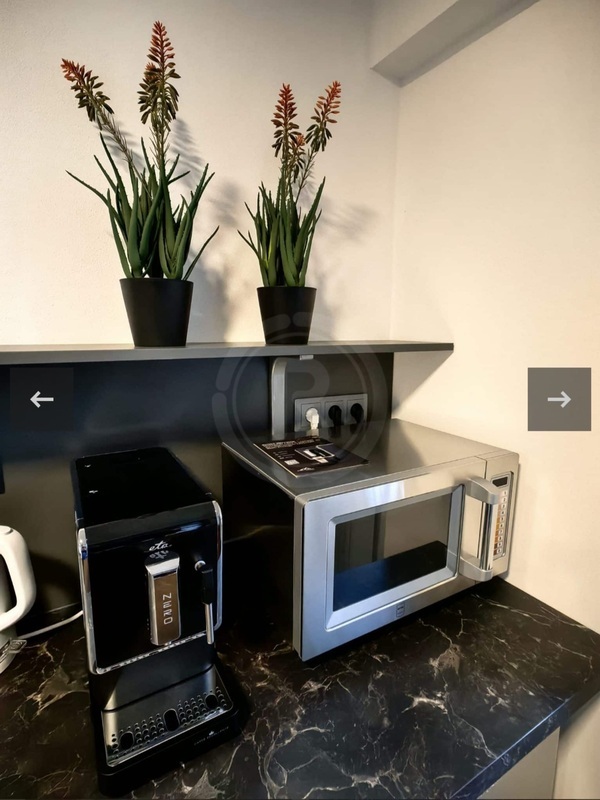 PRODEJ RD, 3 APARTMÁNY, PARKOVÁNÍ, ČESKÝ KRUMLOV