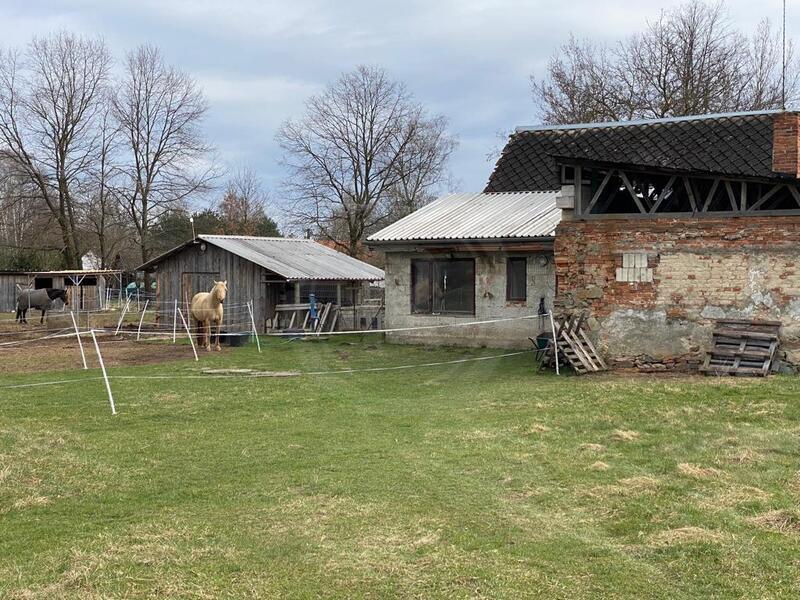 PRODEJ ROZSÁHLÝCH POZEMKŮ S BÝVALÝM STAVENÍM, LUŽNICE, OKR. J. HRADEC