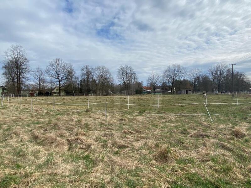 PRODEJ ROZSÁHLÝCH POZEMKŮ S BÝVALÝM STAVENÍM, LUŽNICE, OKR. J. HRADEC