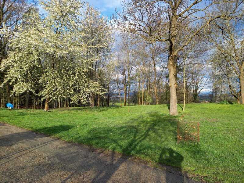 PRODEJ STAVEBNÍ PARCELY 2.500 m2 V LESOPARKU, LIBNÍČ