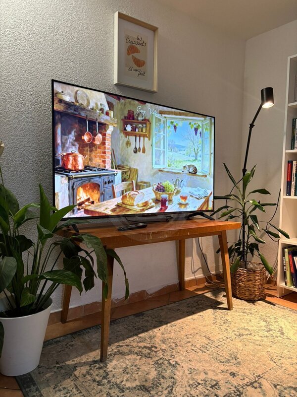 PRODEJ BYTOVÉHO DOMU SE ČTYŘMI BYTY, K. FLEISCHMANA, ČB