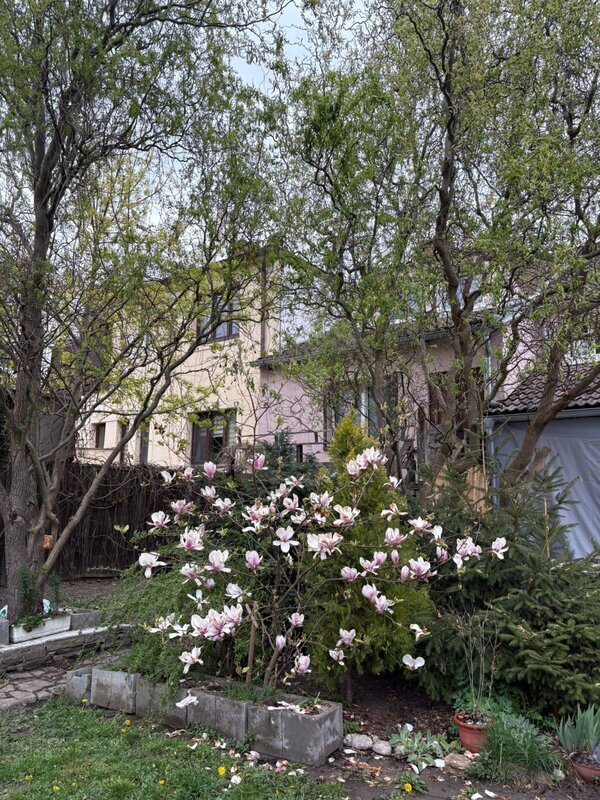 PRODEJ BYTOVÉHO DOMU SE ČTYŘMI BYTY, K. FLEISCHMANA, ČB