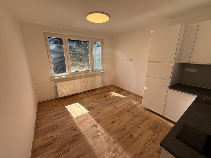 PRONÁJEM ZREKONSTRUOVANÉHO BYTU 1+KK, PEKÁRENSKÁ, ČB