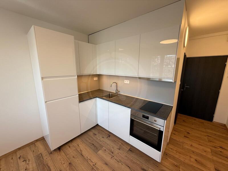 PRONÁJEM ZREKONSTRUOVANÉHO BYTU 1+KK, PEKÁRENSKÁ, ČB