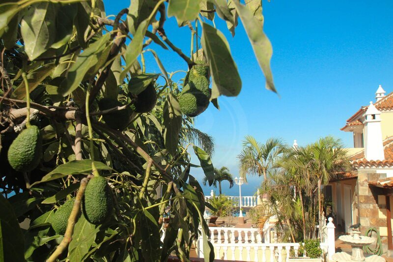 PRODEJ PROSTORNÉ VILY, TACORONTE, TENERIFE