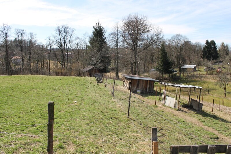 PRODEJ RODINNÉHO DOMU S POZEMKY, TRHOVÉ SVINY