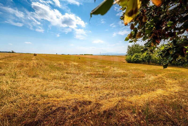 PRODEJ STAVEBNÍHO POZEMKU 3.663 M2, PRŮBĚŽNÁ, HŮRY