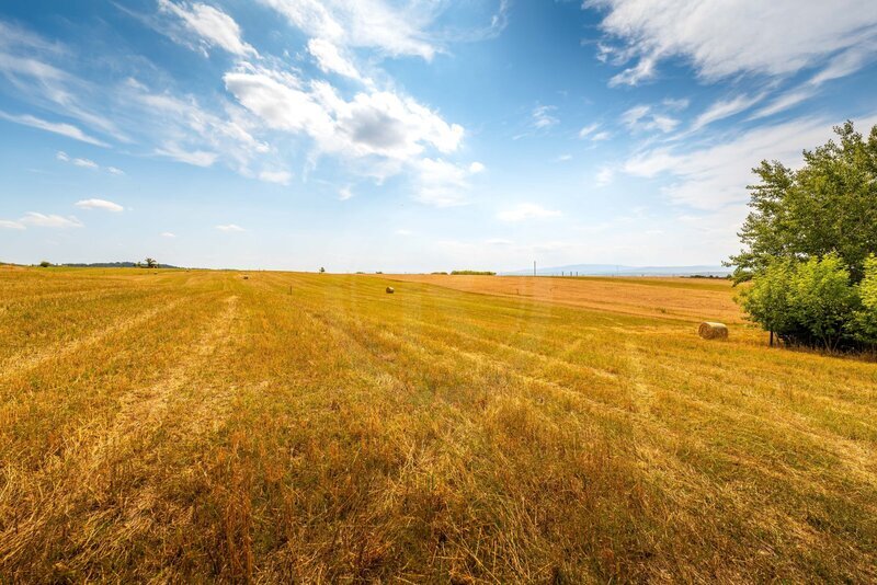 PRODEJ STAVEBNÍHO POZEMKU 3.663 M2, PRŮBĚŽNÁ, HŮRY