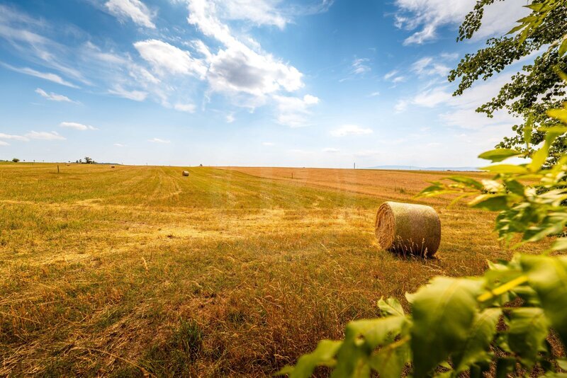 PRODEJ STAVEBNÍHO POZEMKU 3.663 M2, PRŮBĚŽNÁ, HŮRY