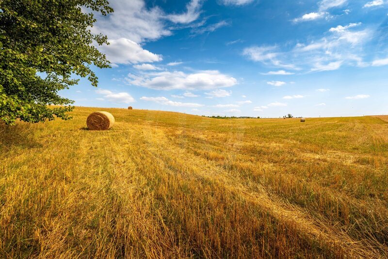 PRODEJ STAVEBNÍHO POZEMKU 3.663 M2, PRŮBĚŽNÁ, HŮRY