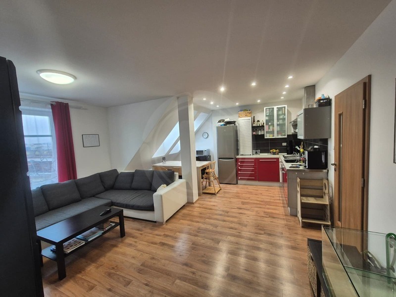 PRODEJ PROSTORNÉHO BYTU 3+KK, KAMARYTOVA, Č. BUDĚJOVICE