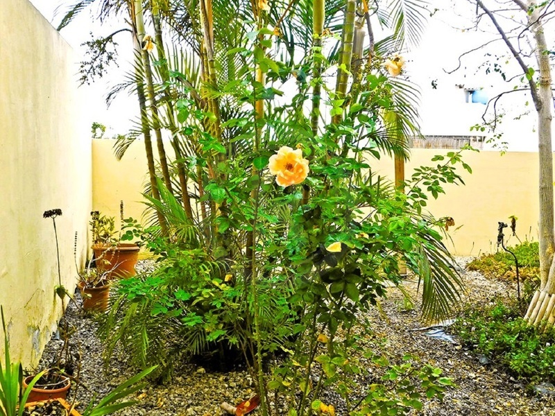 PRODEJ ŘADOVÉHO DOMU, LA SABINA, BUEN PASO, TENERIFE