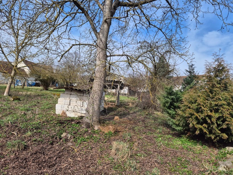 PRODEJ STAVEBNÍ PARCELY, KUKLE, TÁLÍN U PÍSKU